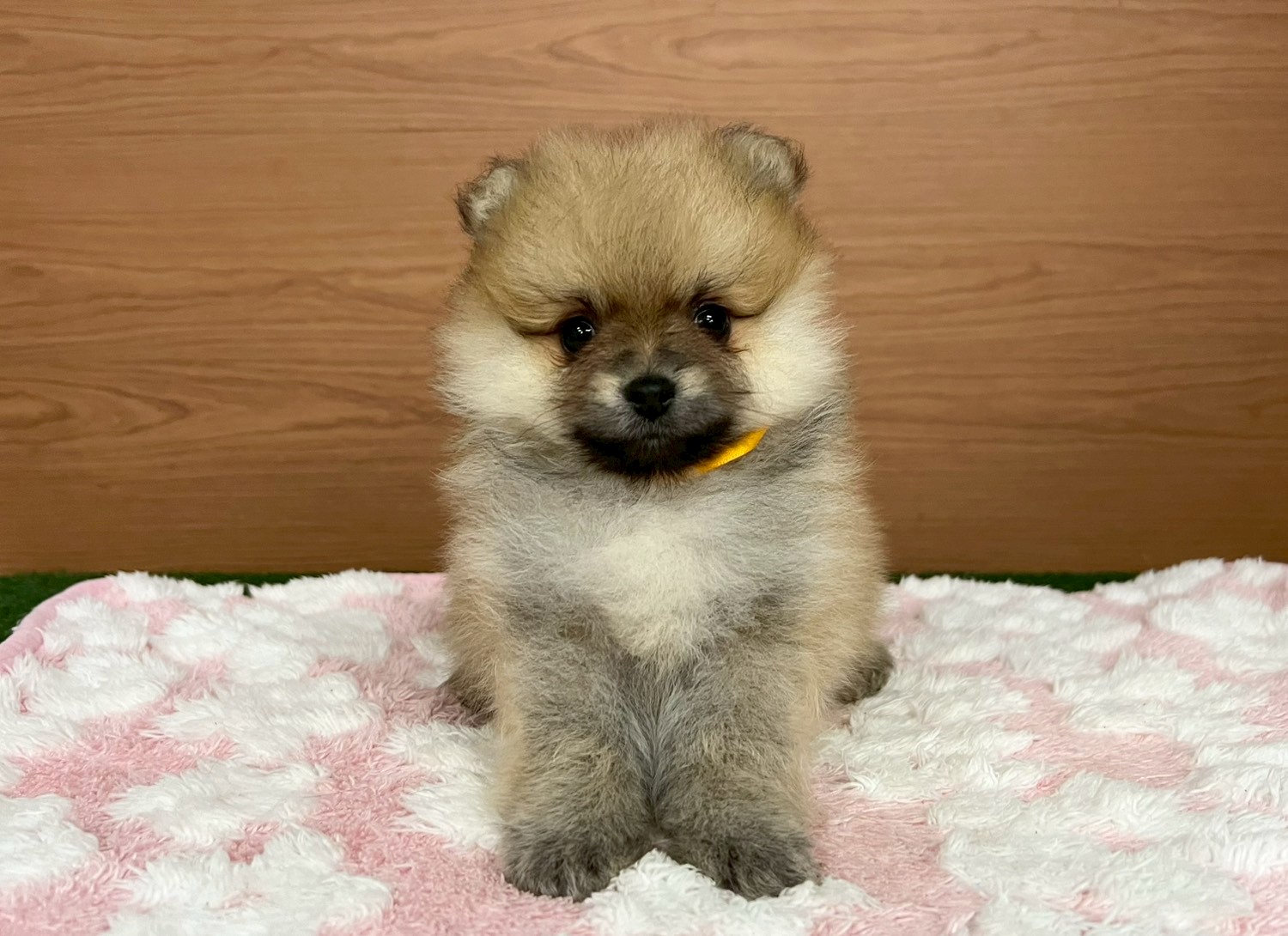 赤ちゃん写真3-1