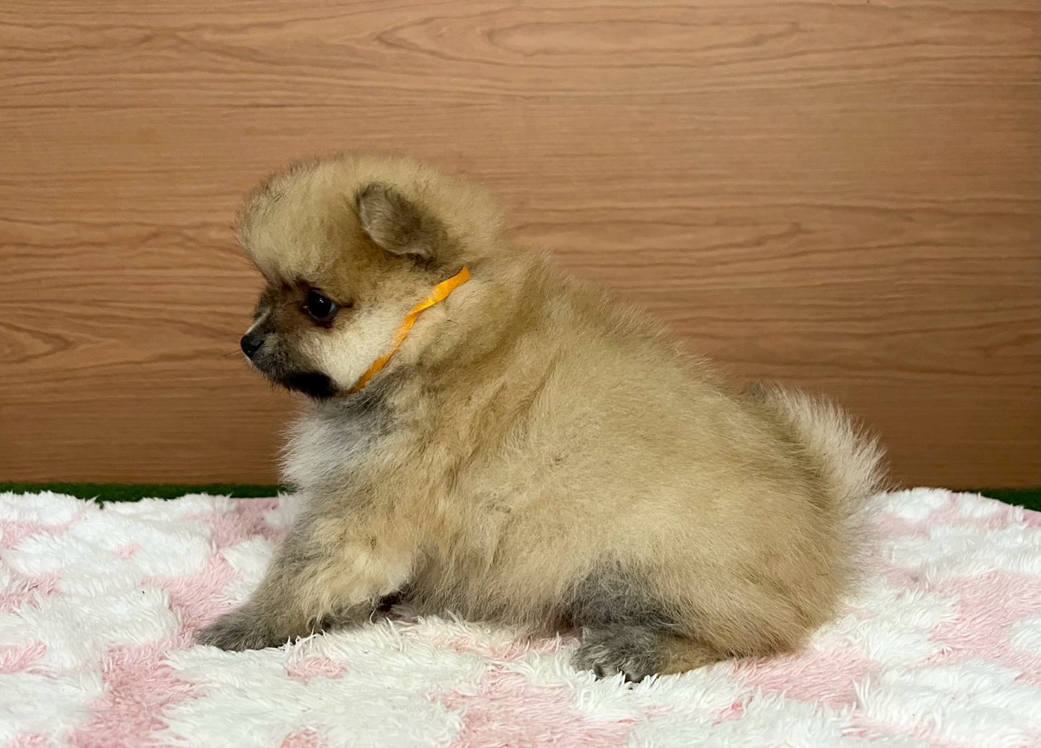 赤ちゃん写真3-2