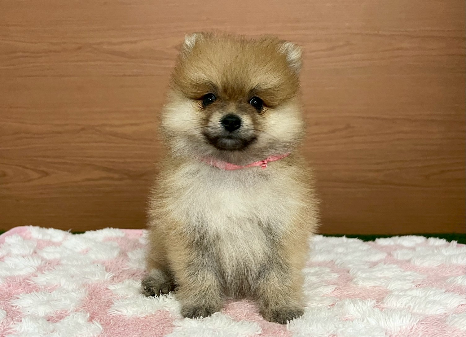 赤ちゃん写真3-1