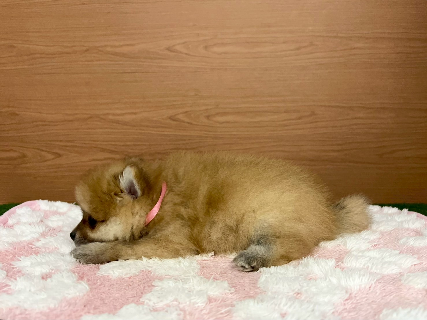 赤ちゃん写真3-2