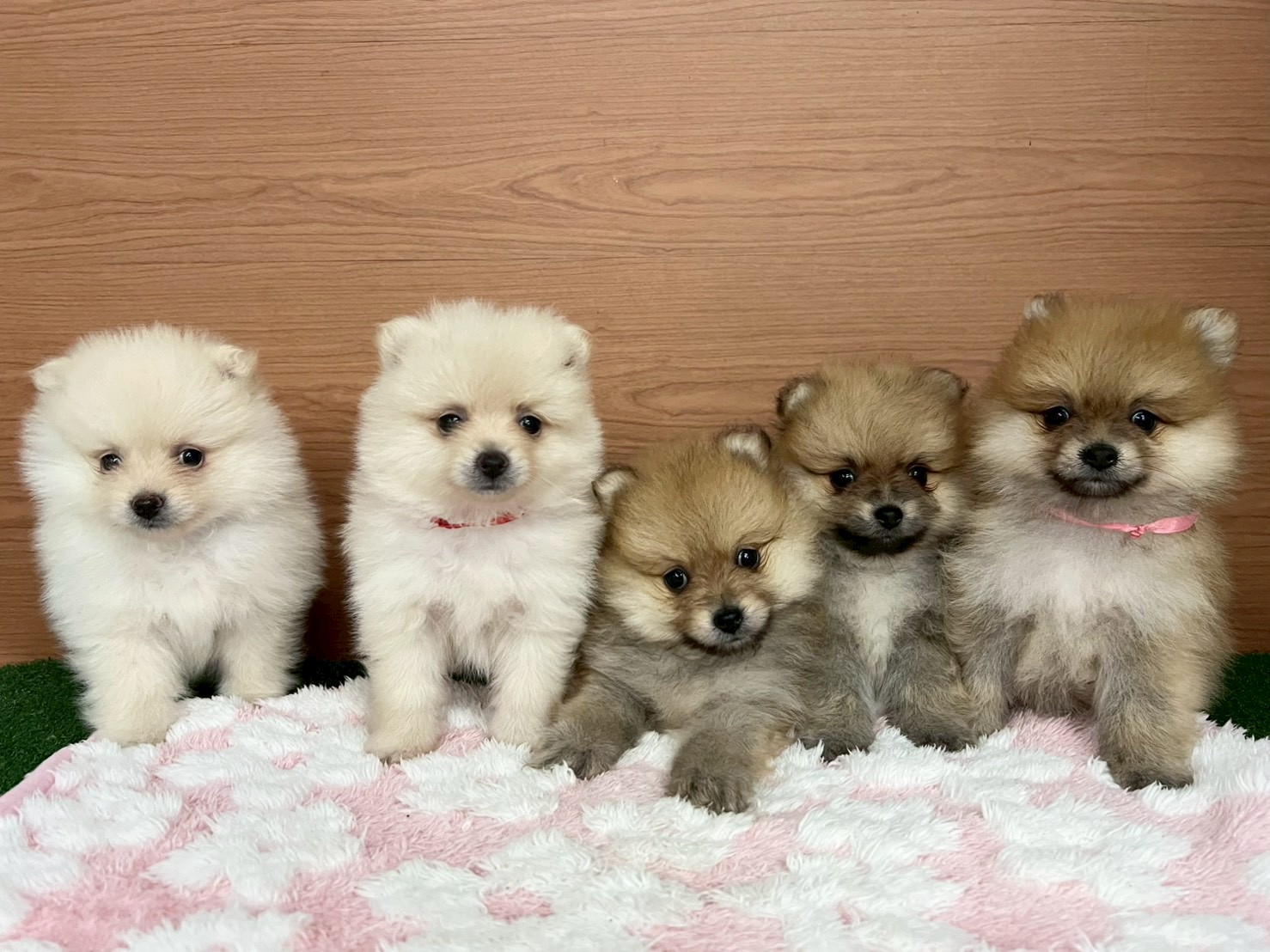 赤ちゃん写真3-3