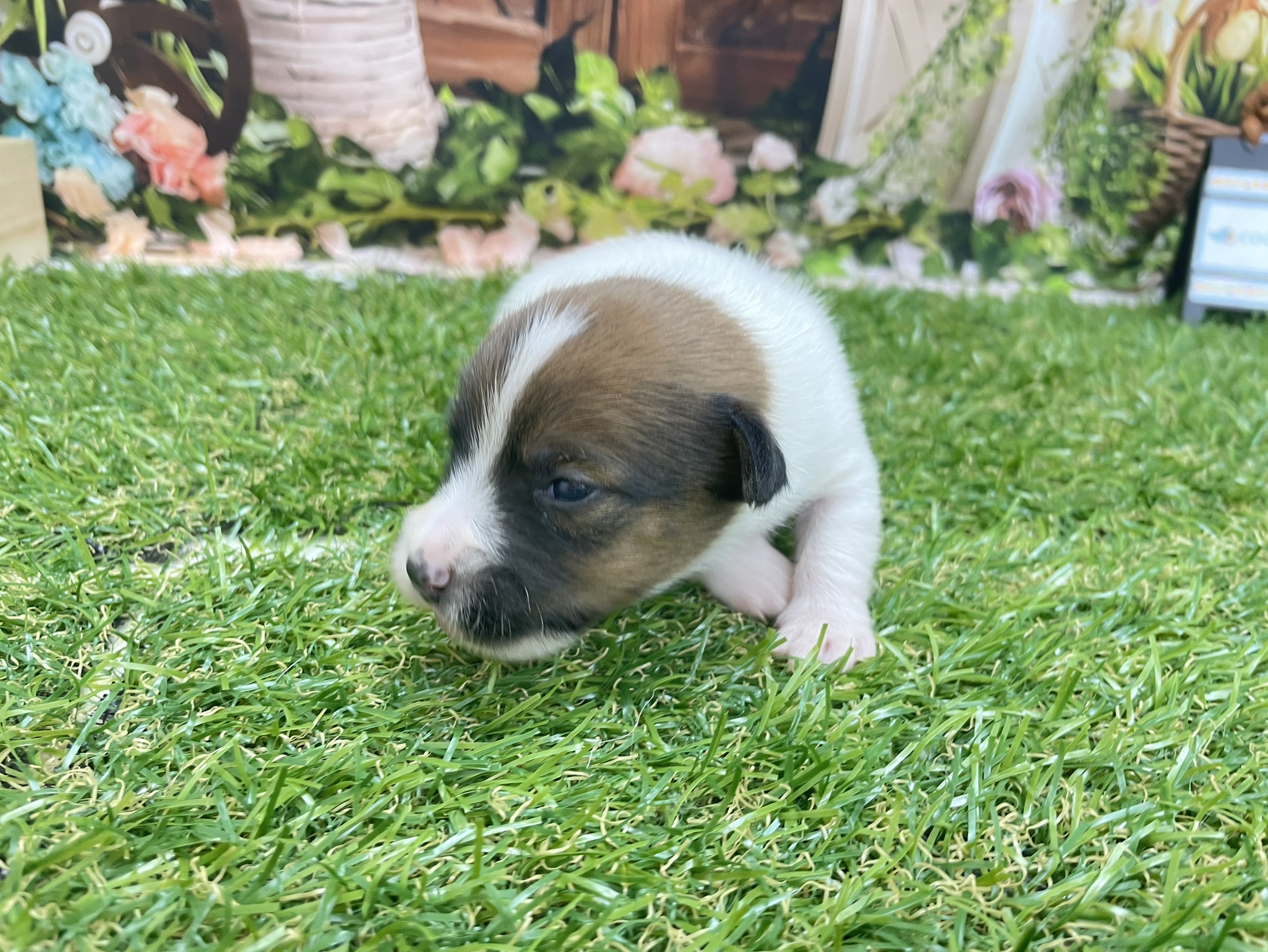 赤ちゃん写真1-1