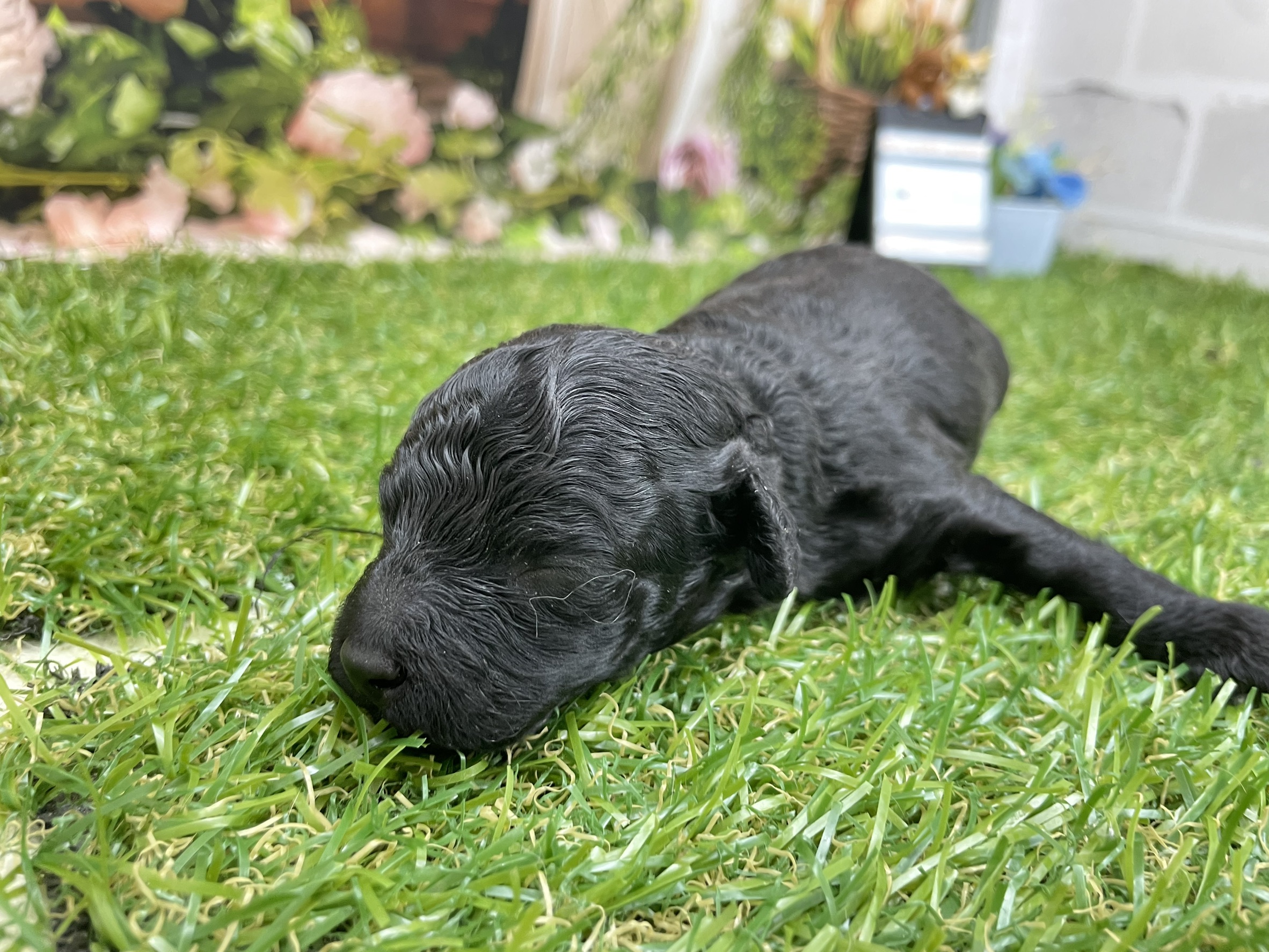 赤ちゃん写真1-1