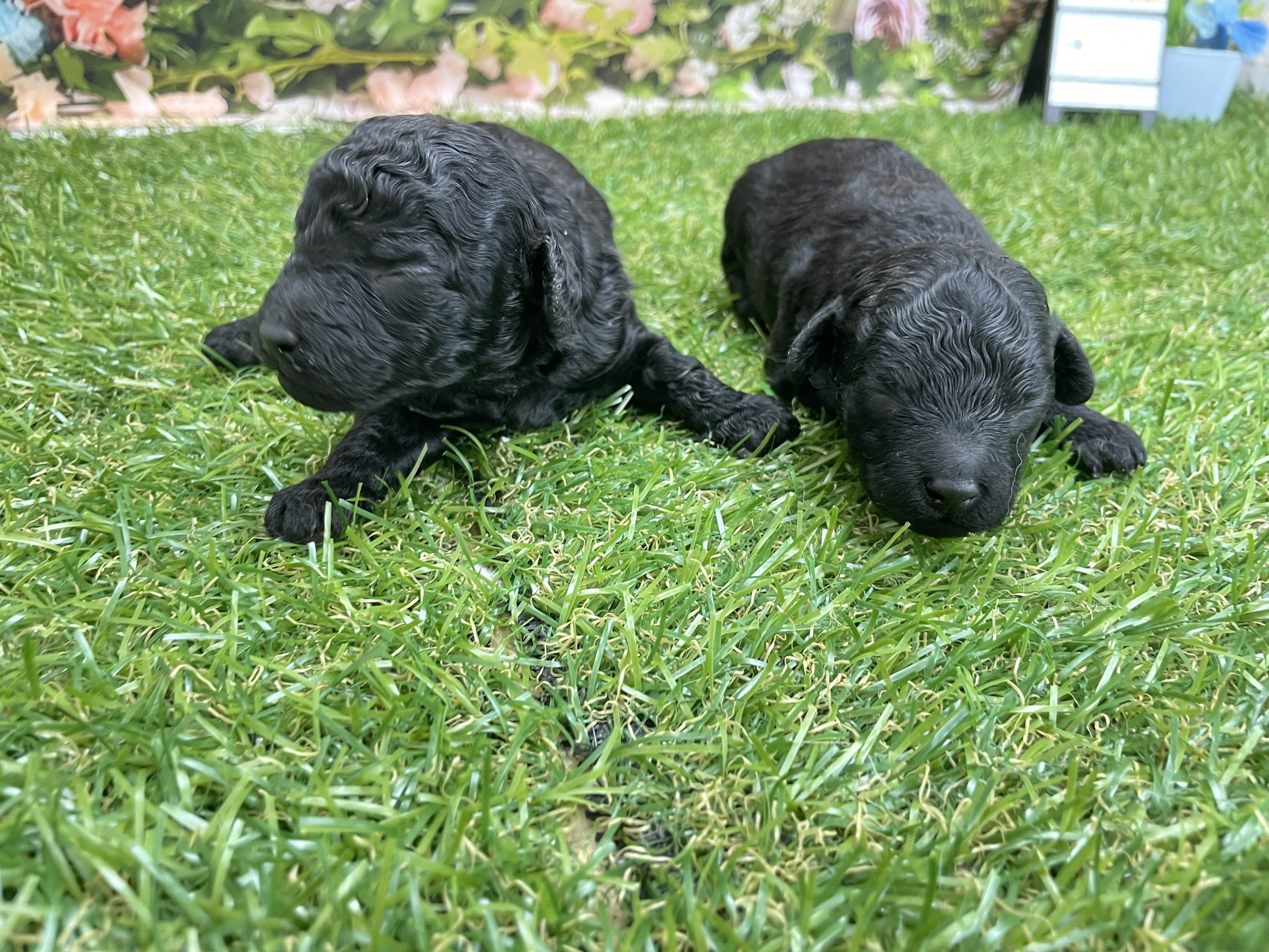 赤ちゃん写真1-3