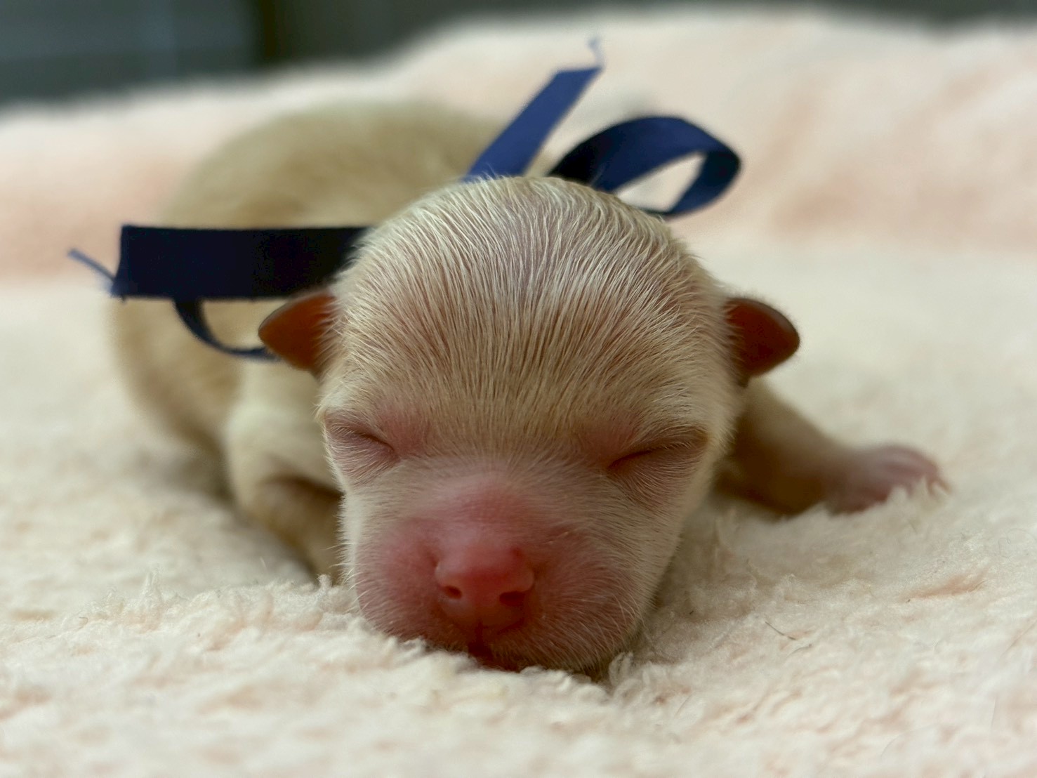 赤ちゃん写真1-1