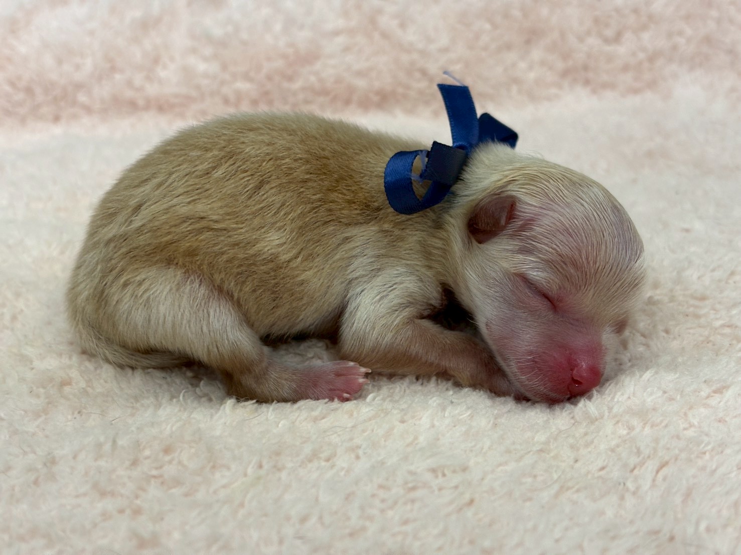 赤ちゃん写真1-2