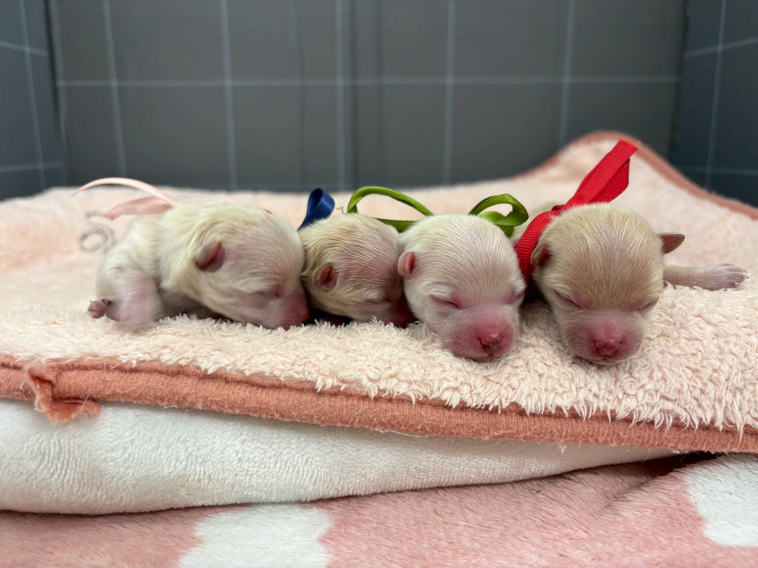 赤ちゃん写真1-3