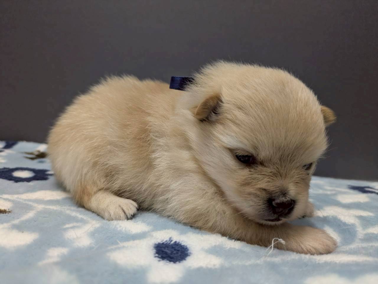 赤ちゃん写真2-2