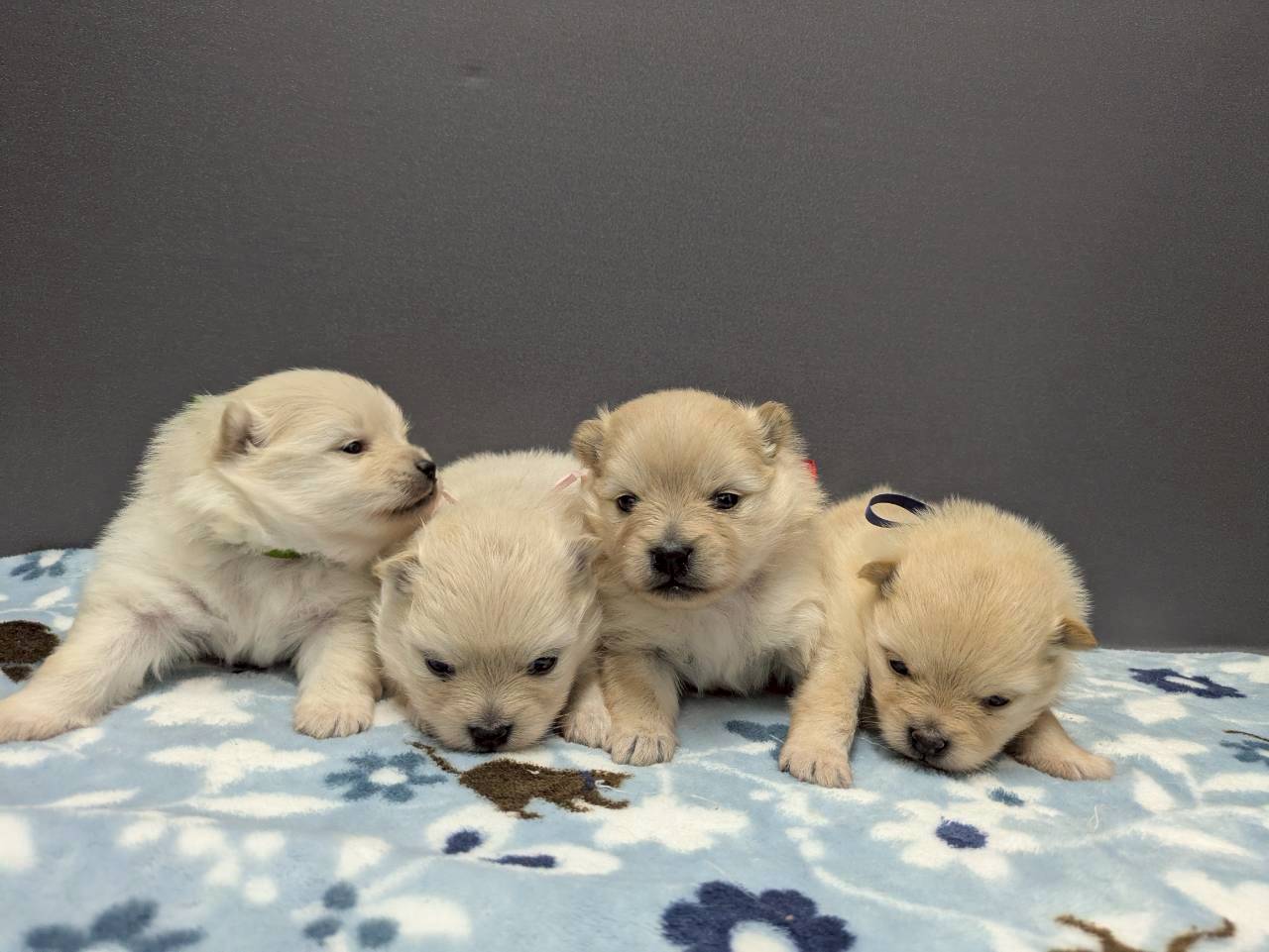 赤ちゃん写真2-3