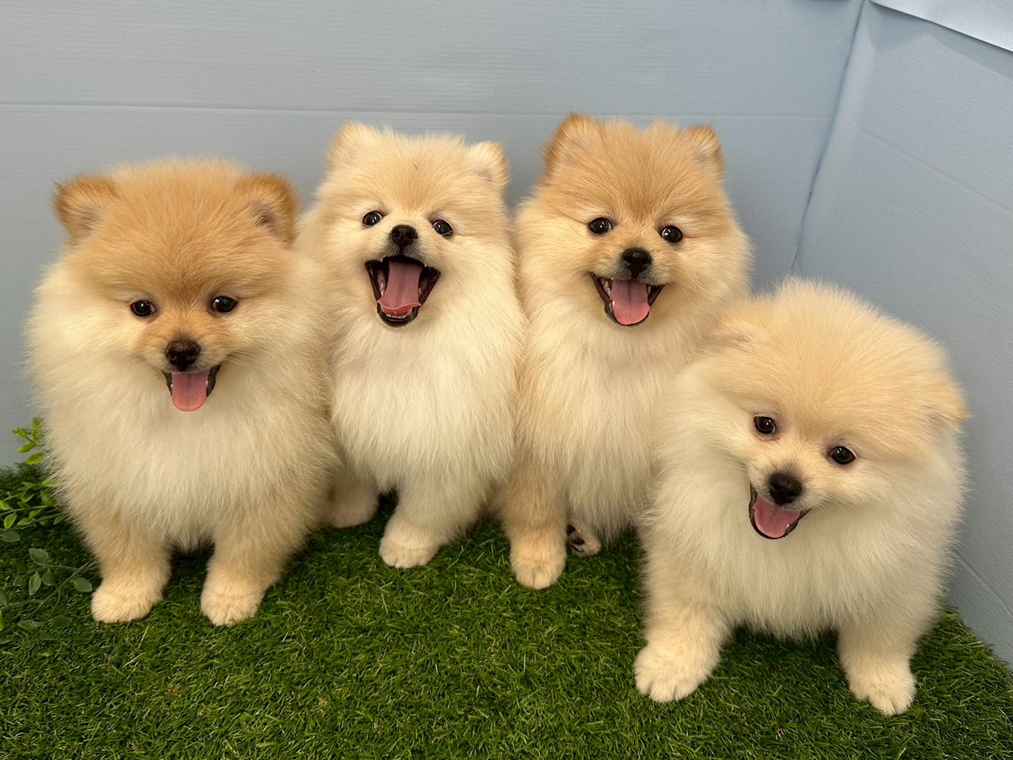 赤ちゃん写真3-3