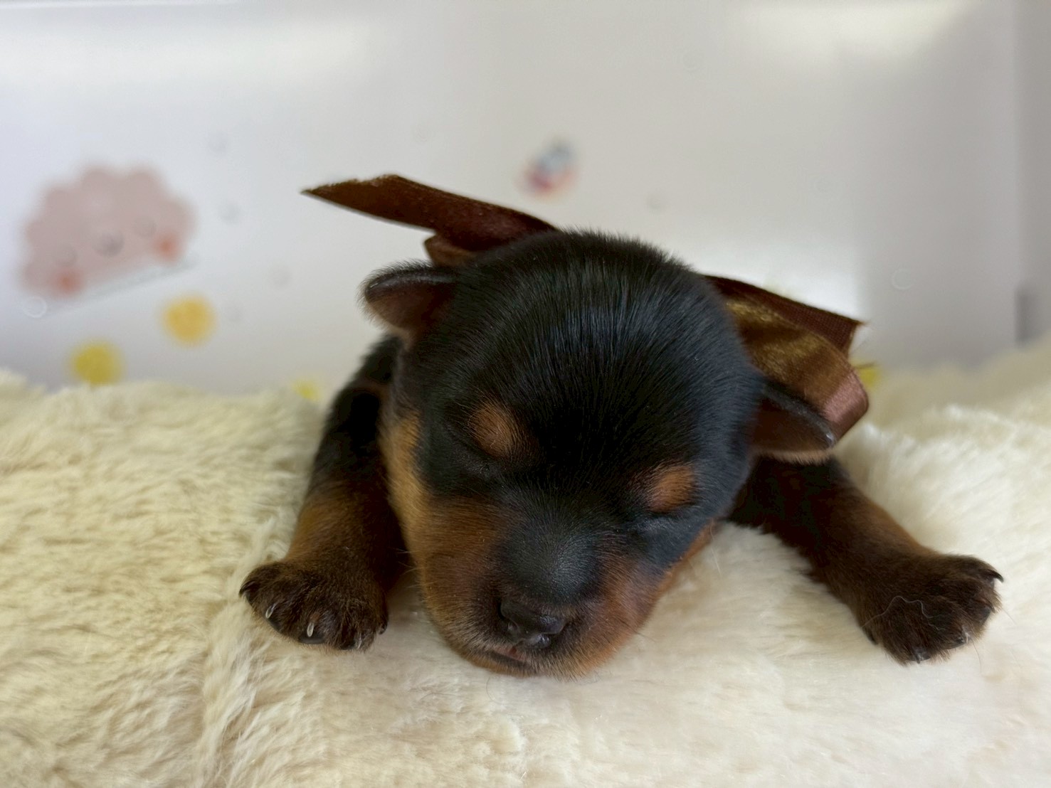 赤ちゃん写真1-1