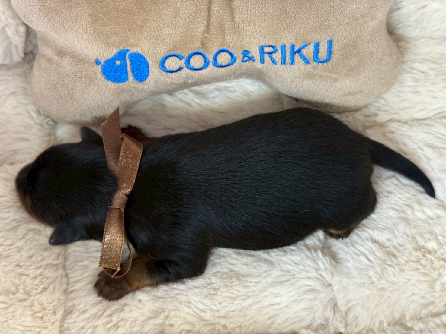 赤ちゃん写真1-3