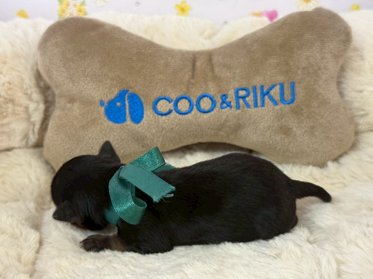 赤ちゃん写真1-2