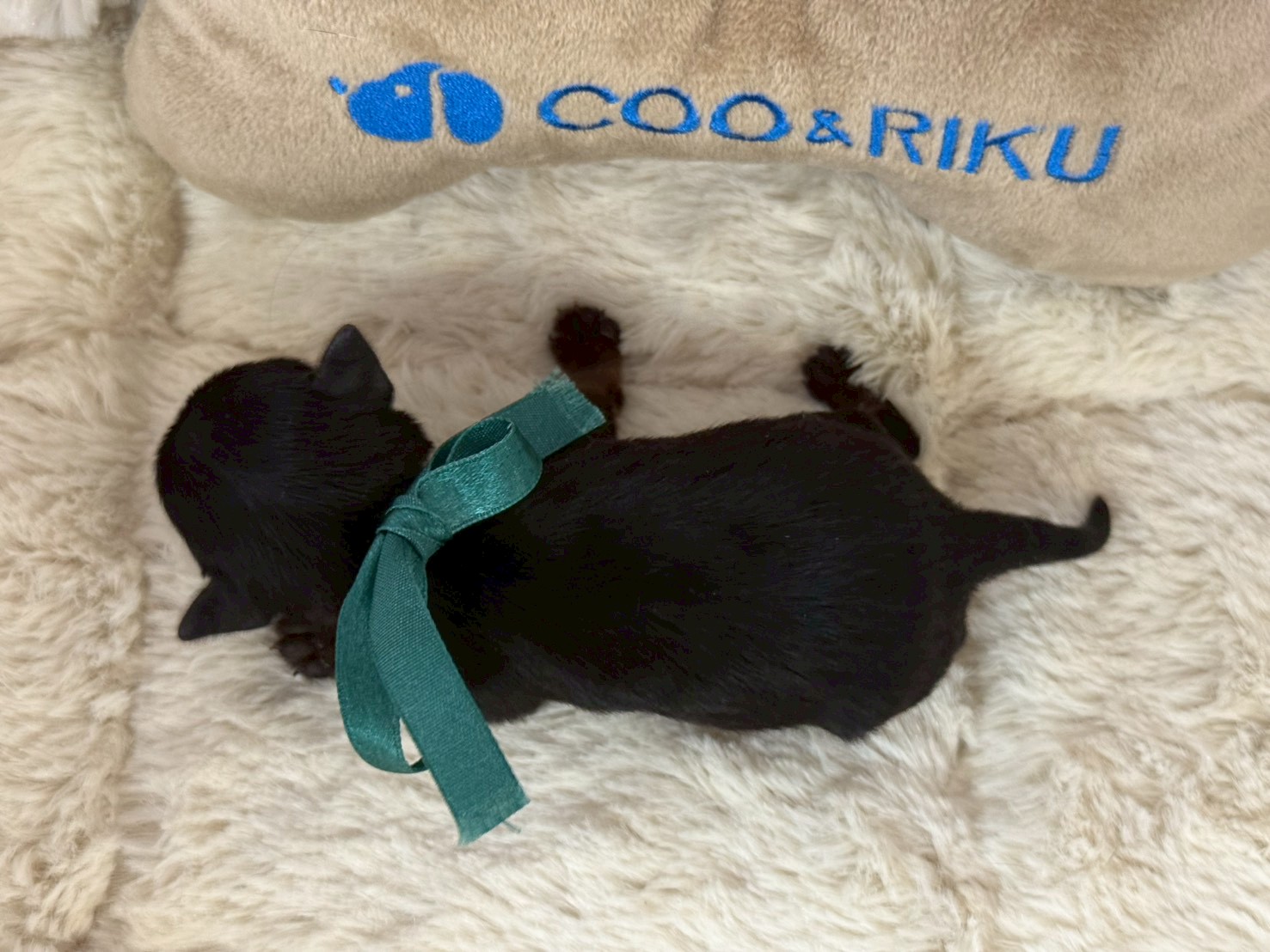 赤ちゃん写真1-3