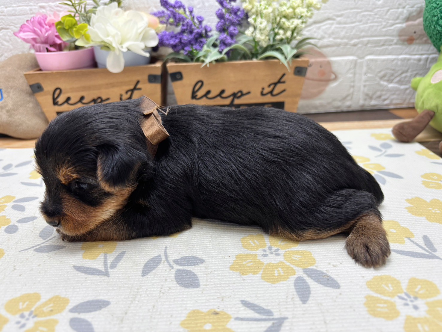 赤ちゃん写真2-2