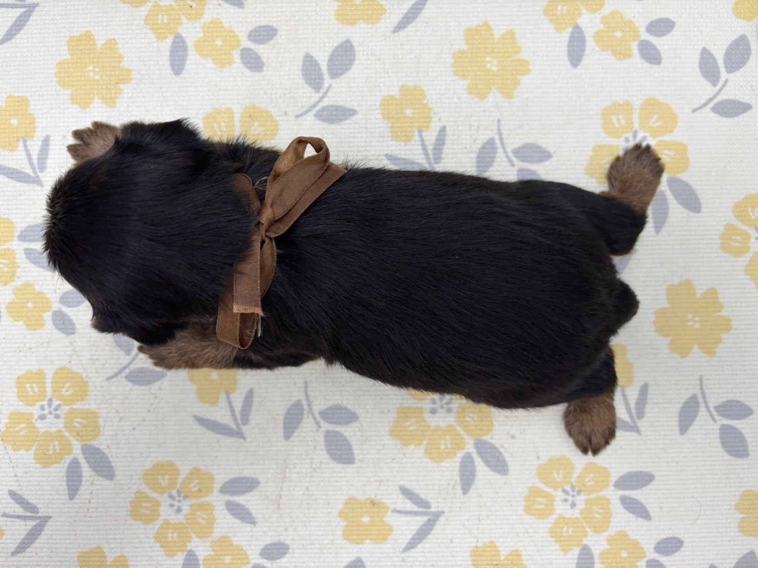 赤ちゃん写真2-3