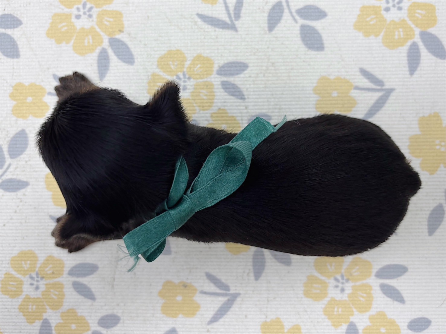 赤ちゃん写真2-3