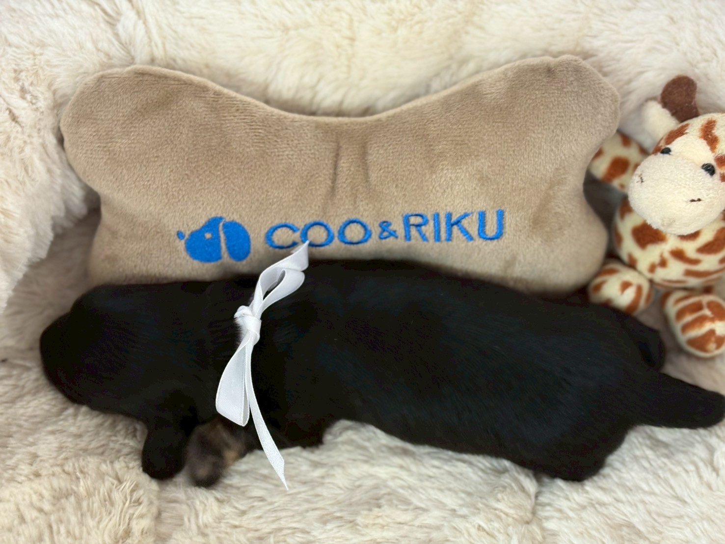 赤ちゃん写真1-3