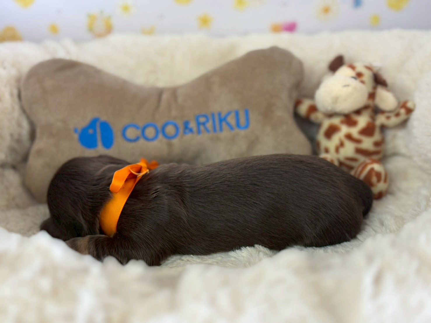 赤ちゃん写真1-2