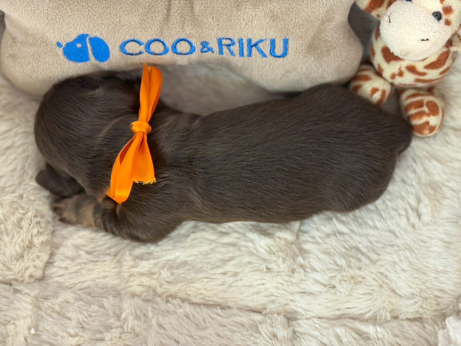 赤ちゃん写真1-3