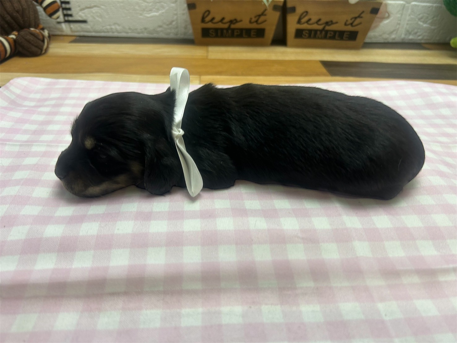 赤ちゃん写真2-2