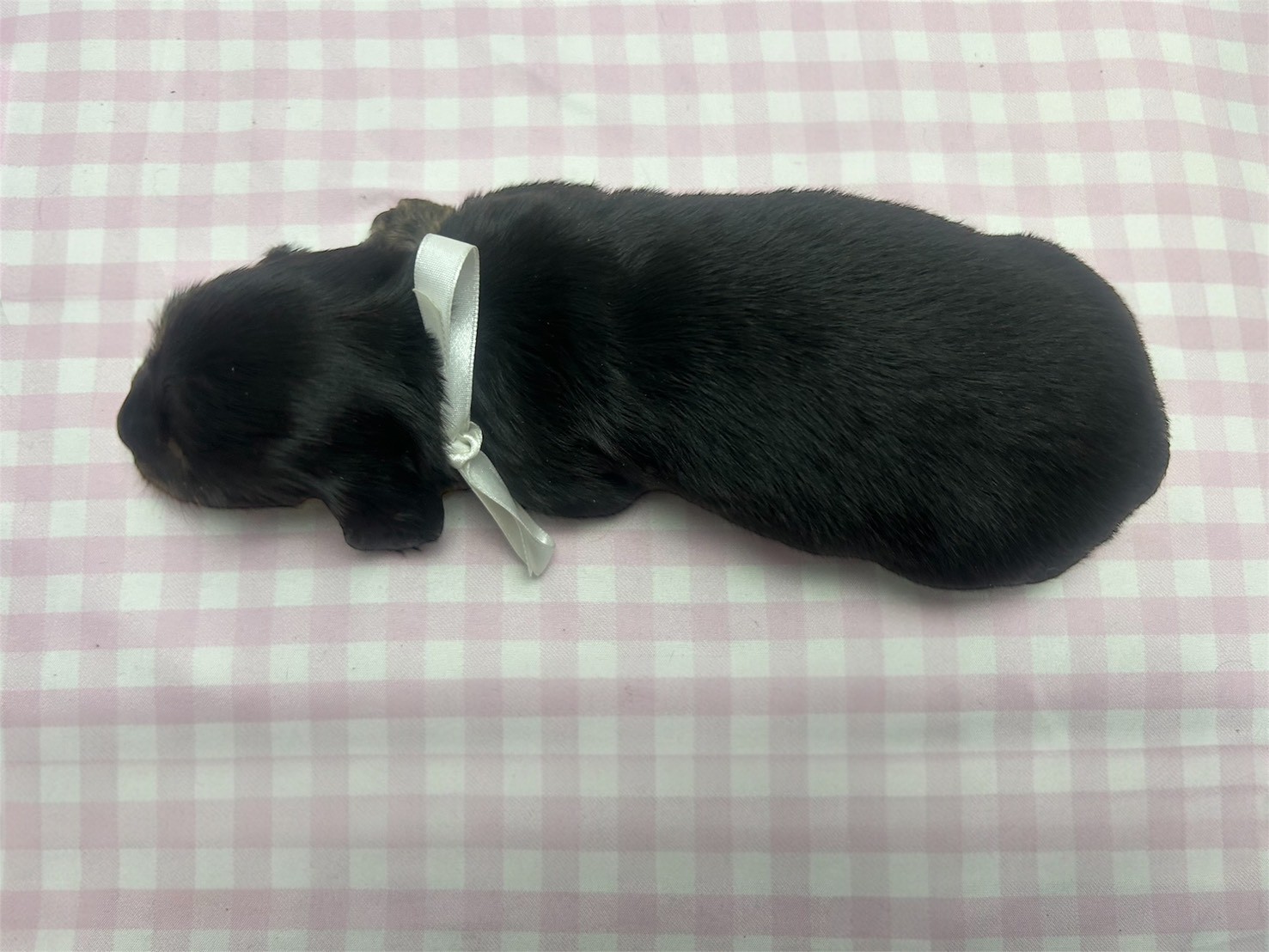 赤ちゃん写真2-3
