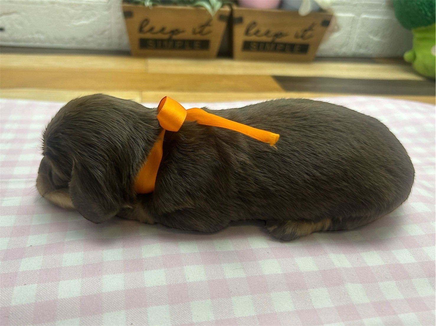 赤ちゃん写真2-2