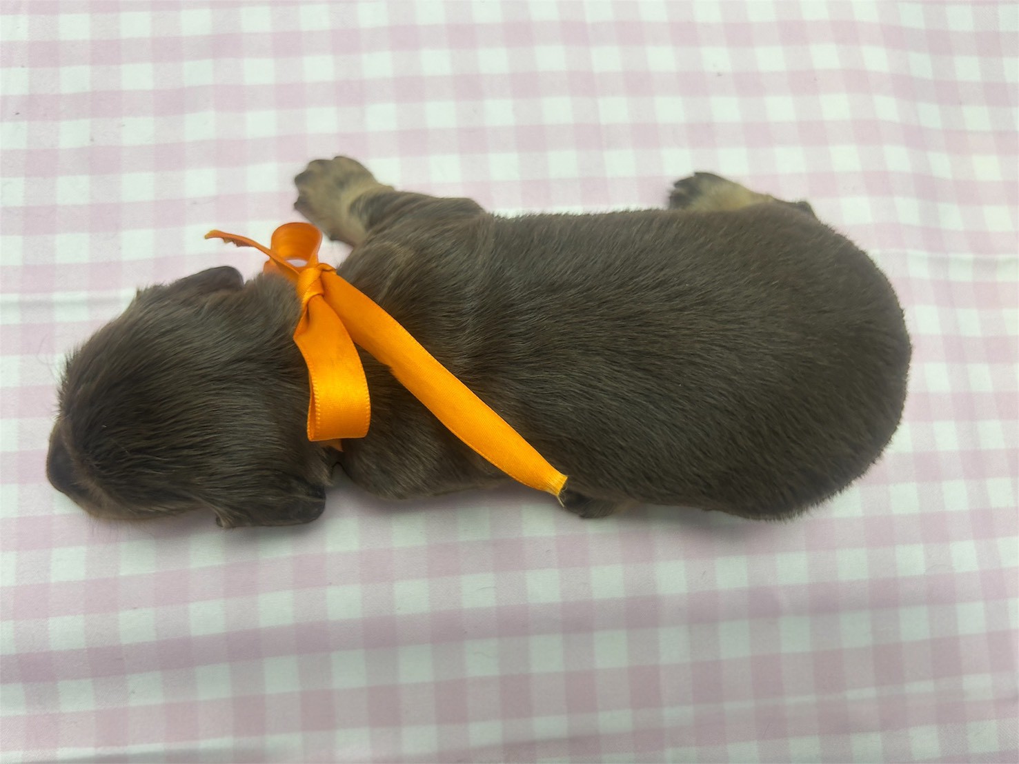 赤ちゃん写真2-3