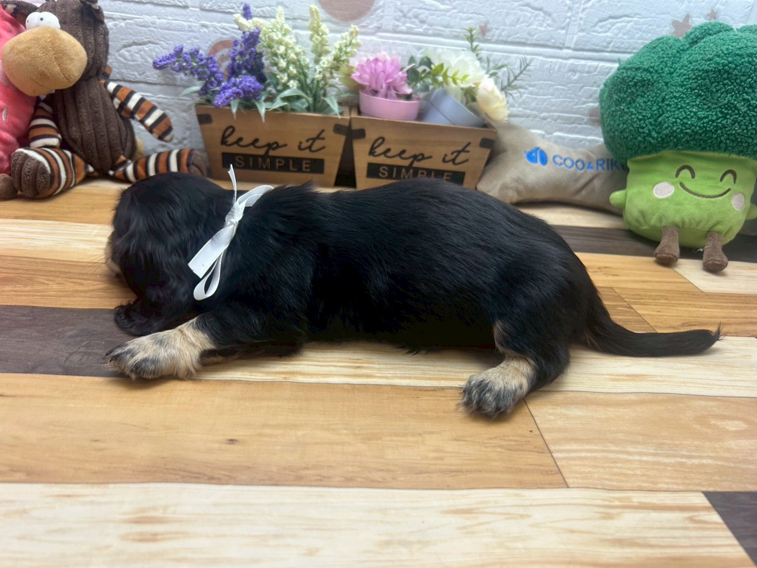 赤ちゃん写真3-2