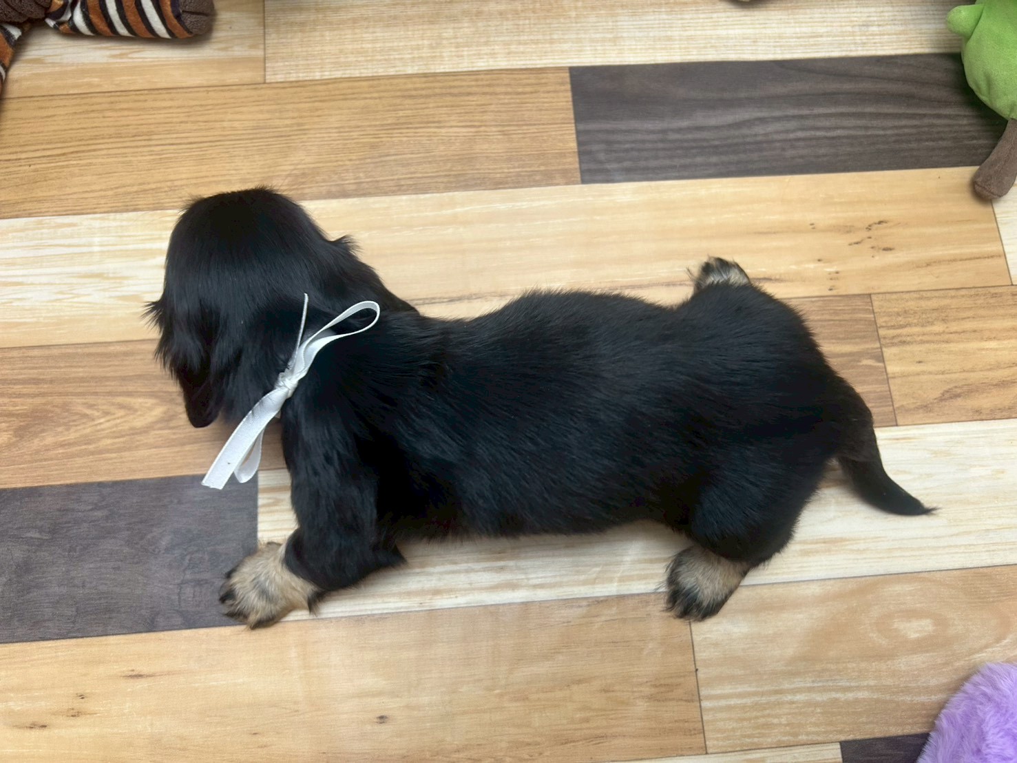 赤ちゃん写真3-3