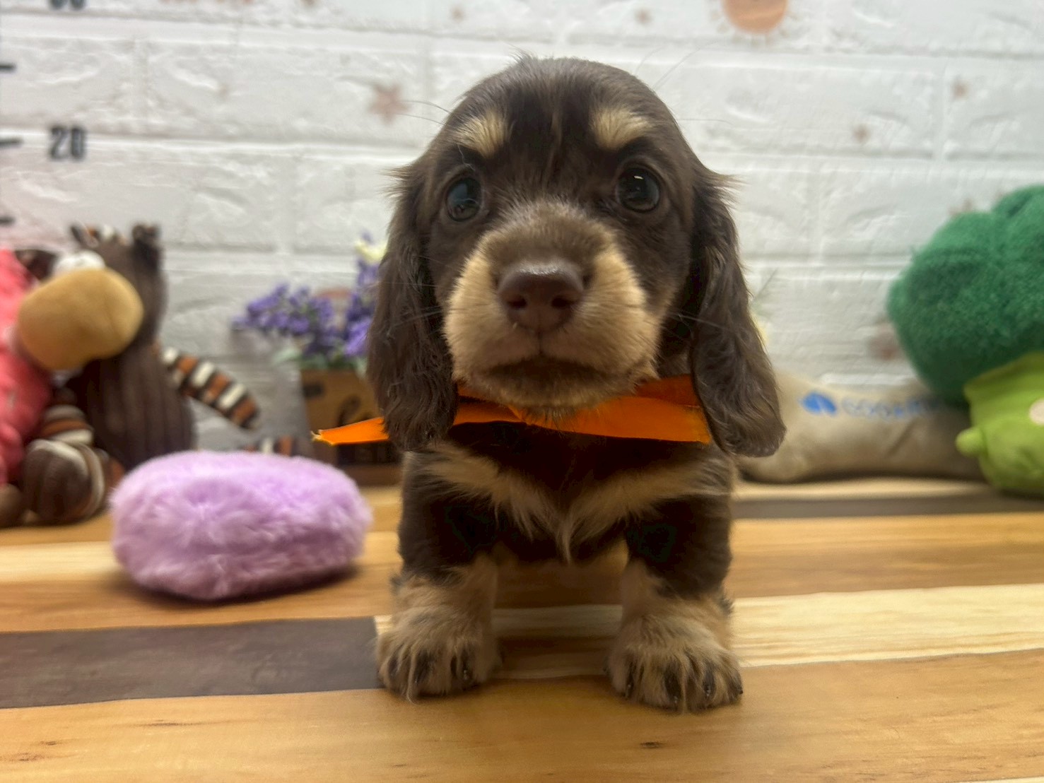 赤ちゃん写真3-1