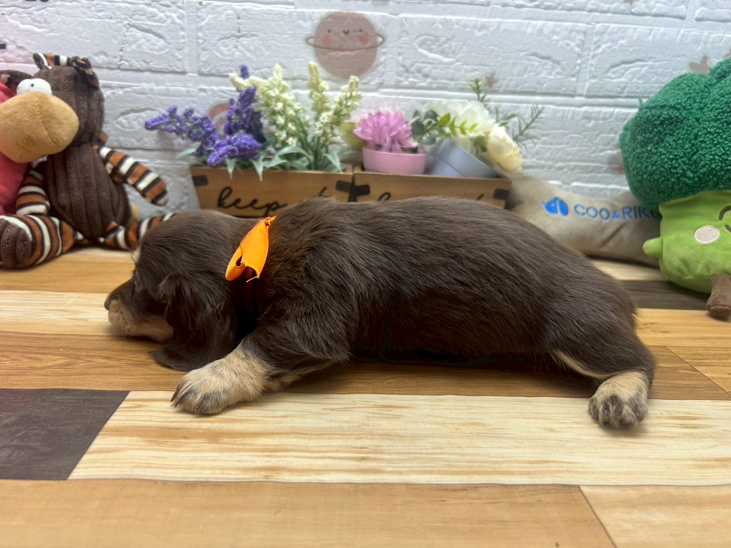 赤ちゃん写真3-2