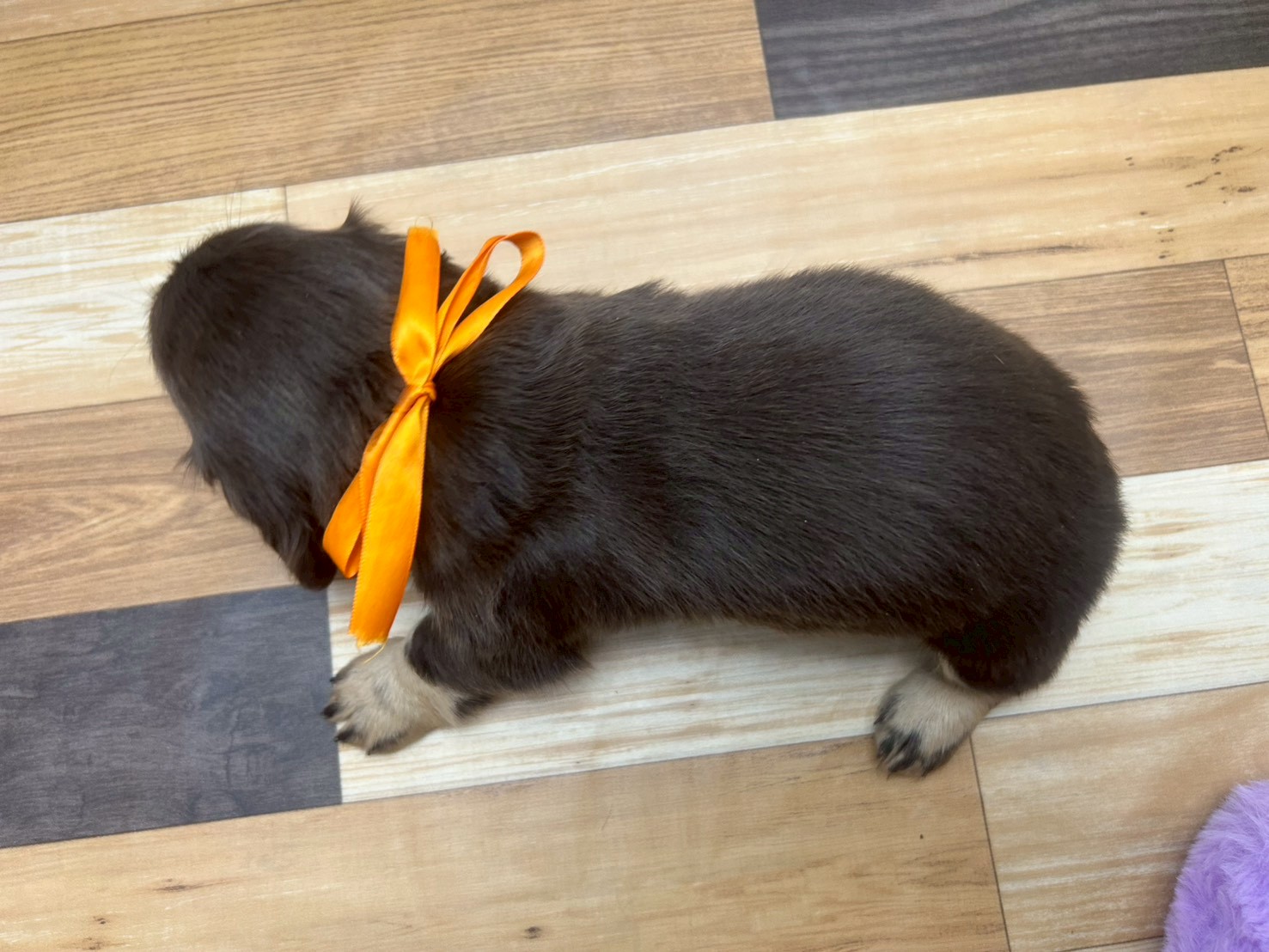 赤ちゃん写真3-3