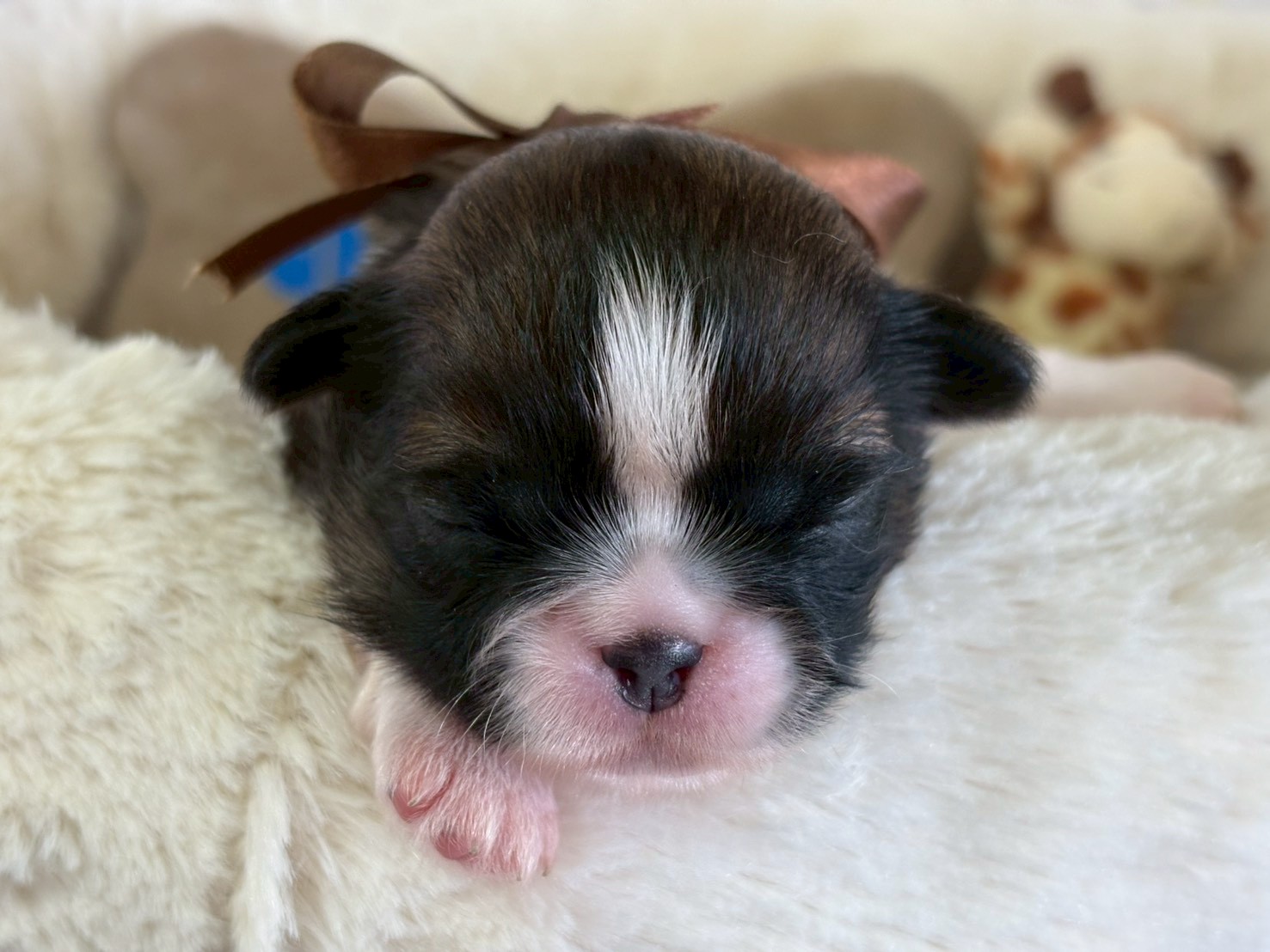 赤ちゃん写真1-1