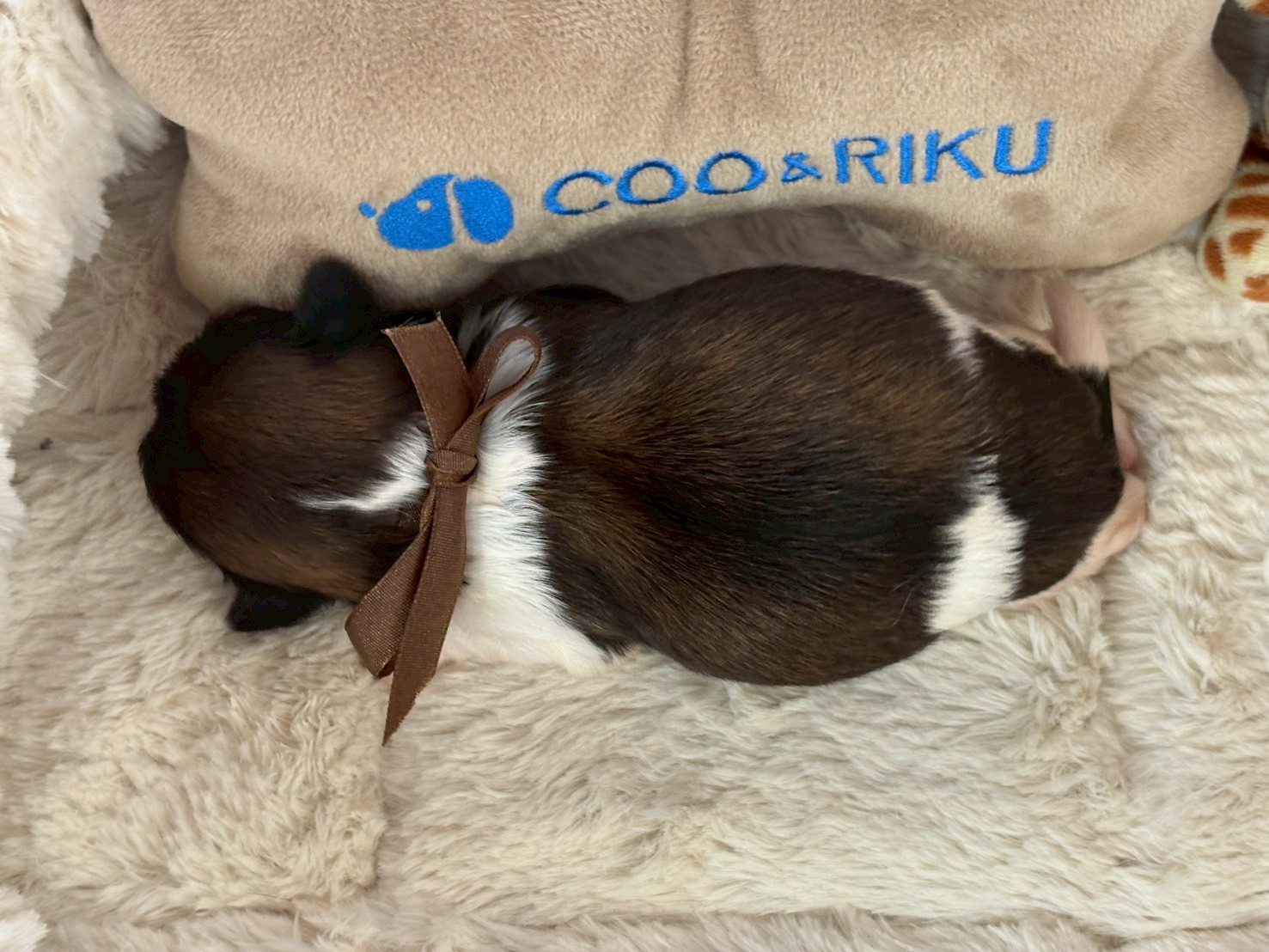 赤ちゃん写真1-3