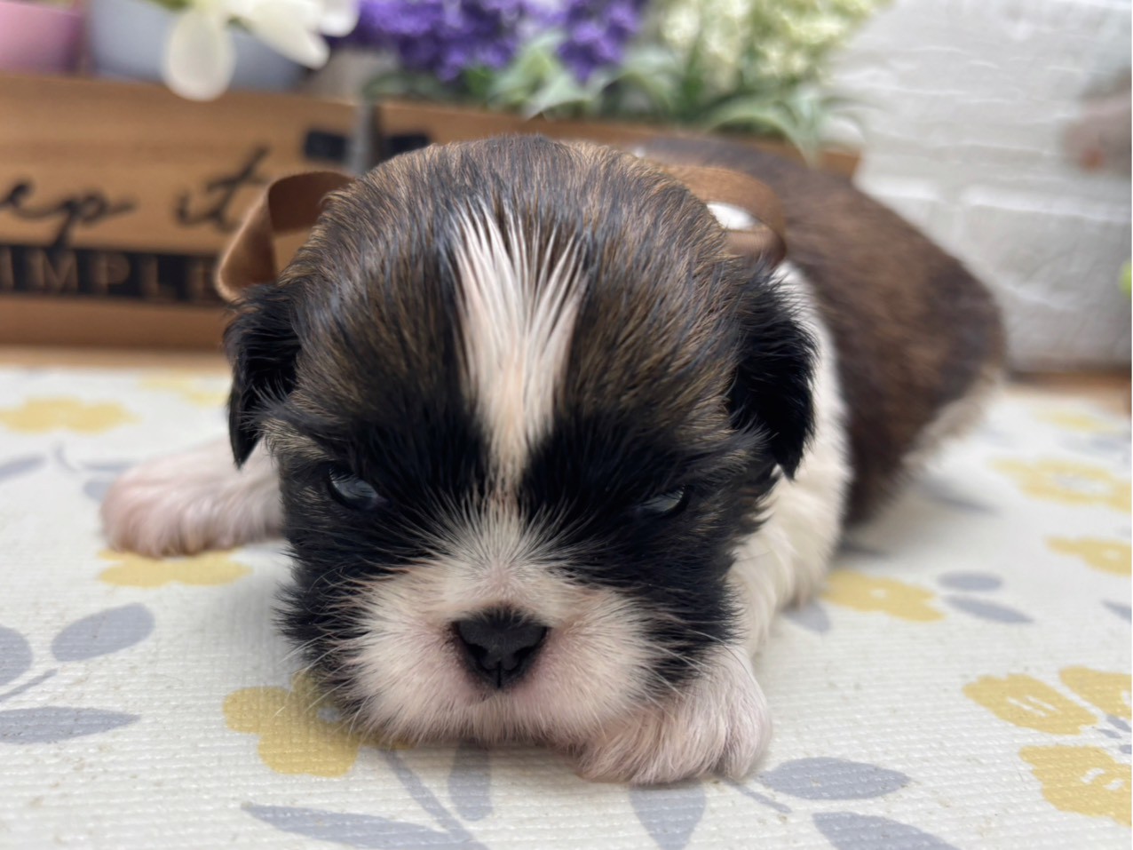 赤ちゃん写真2-1