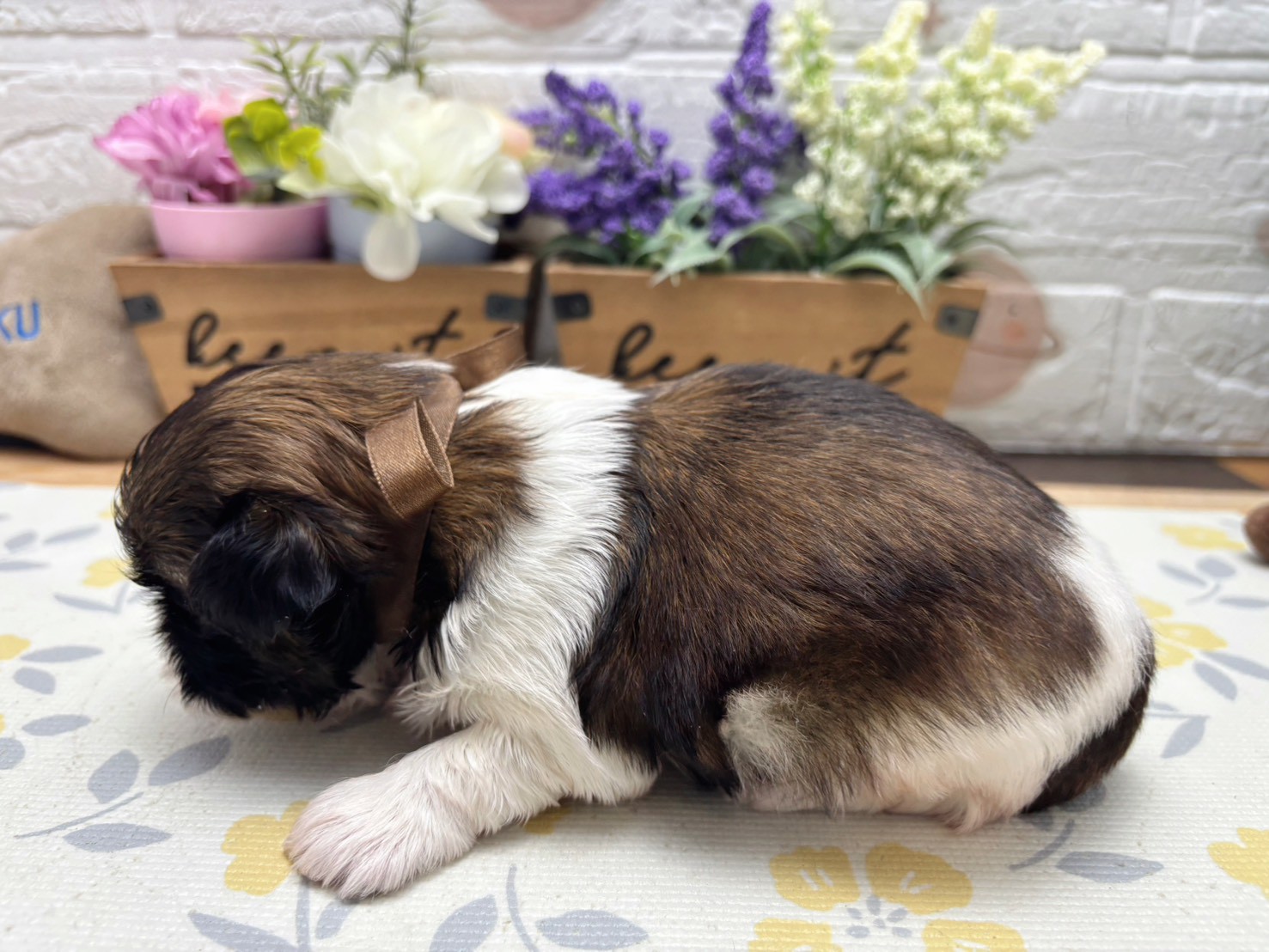 赤ちゃん写真2-2