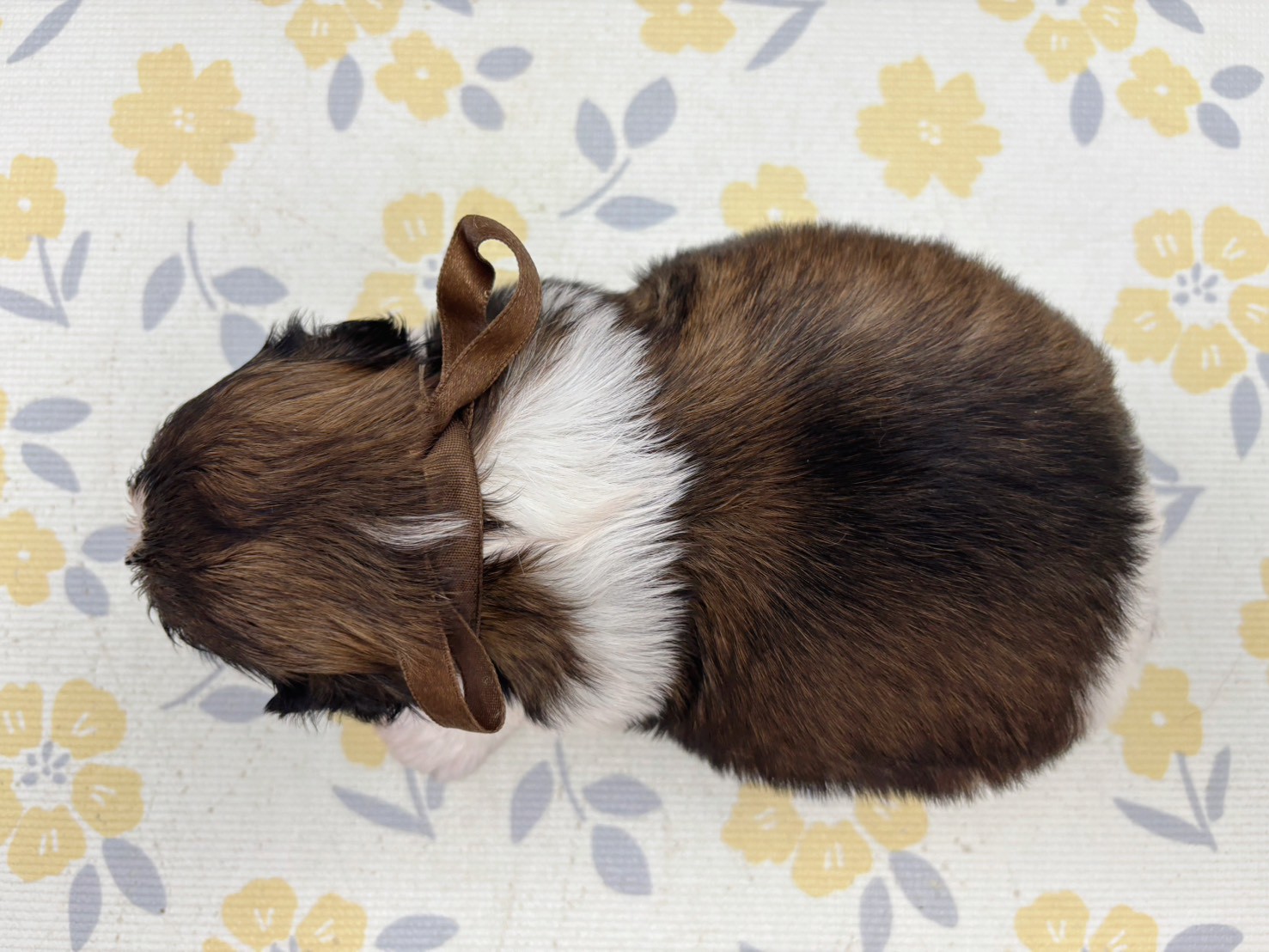 赤ちゃん写真2-3