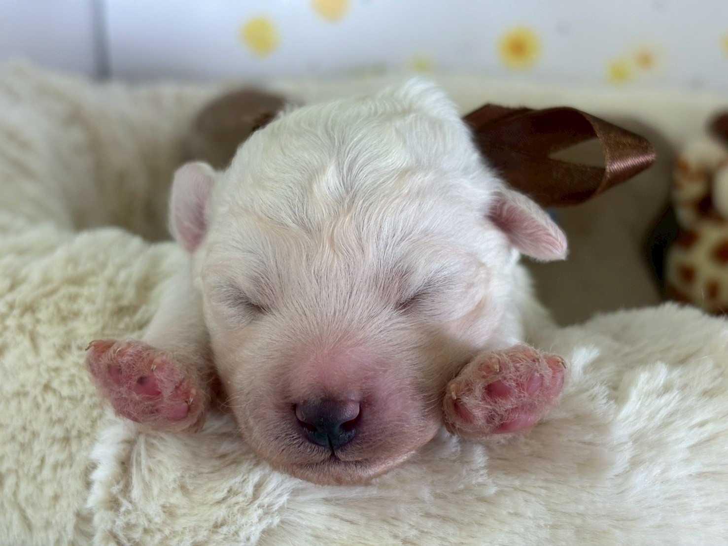 赤ちゃん写真1-1