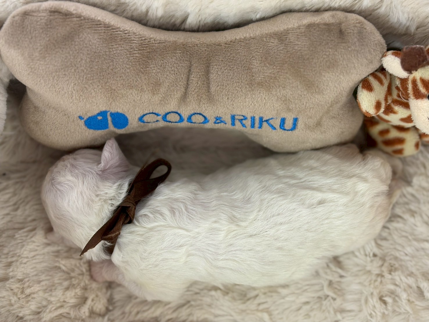 赤ちゃん写真1-3