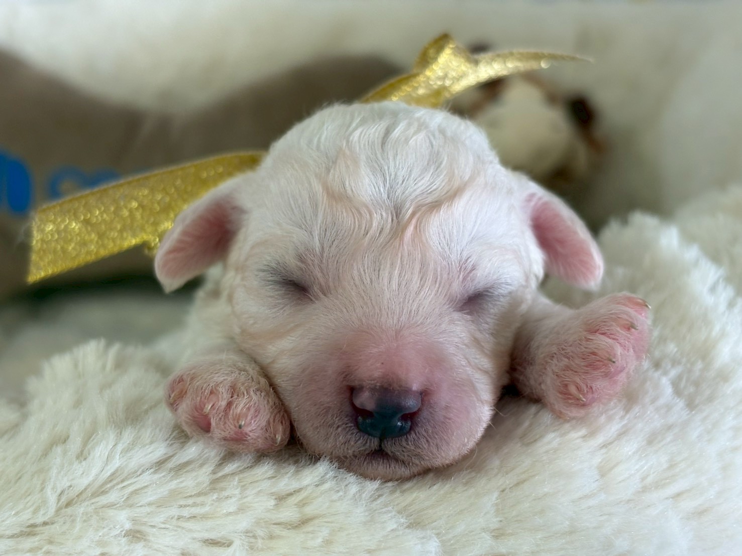 赤ちゃん写真1-1