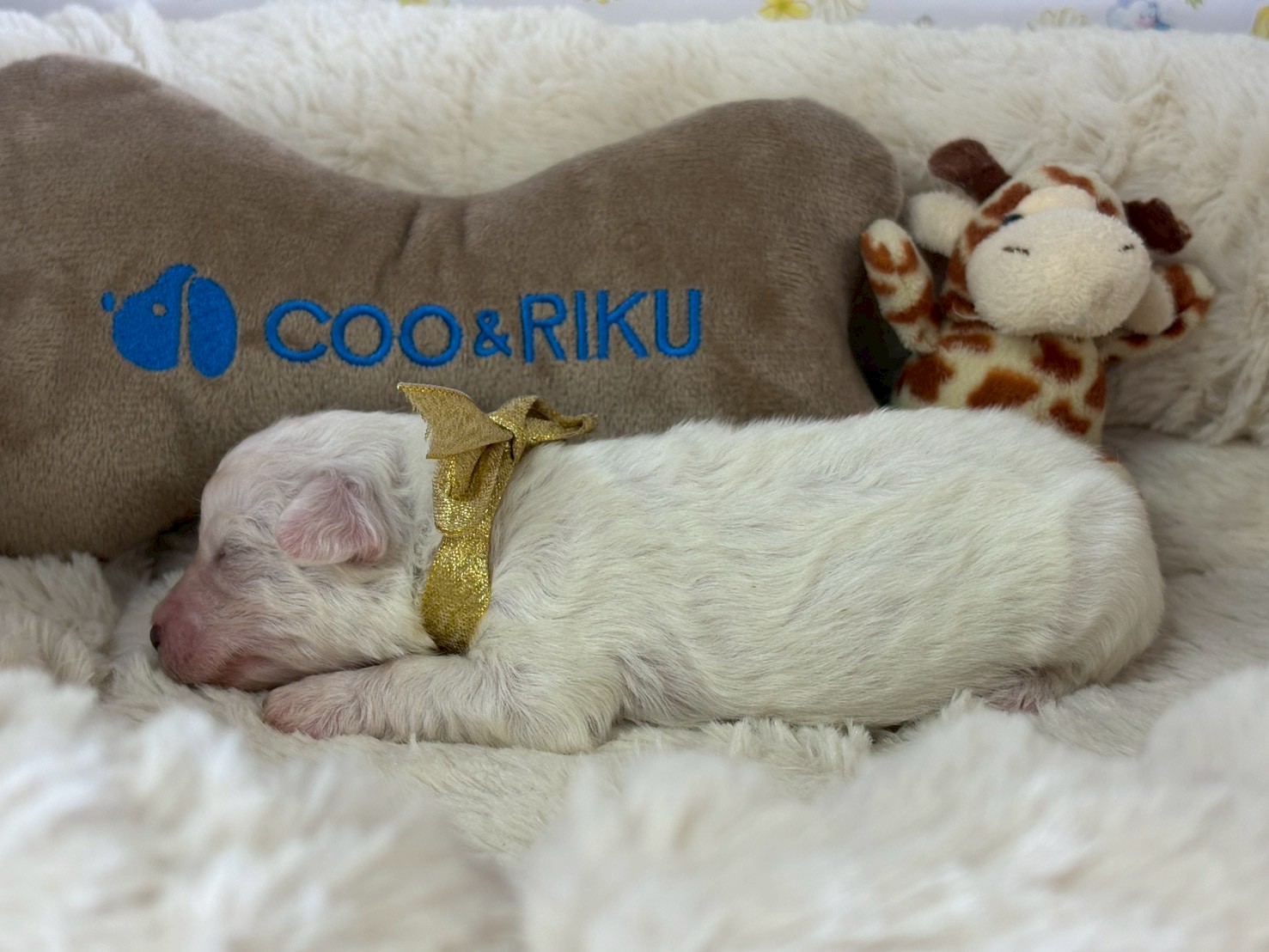 赤ちゃん写真1-2