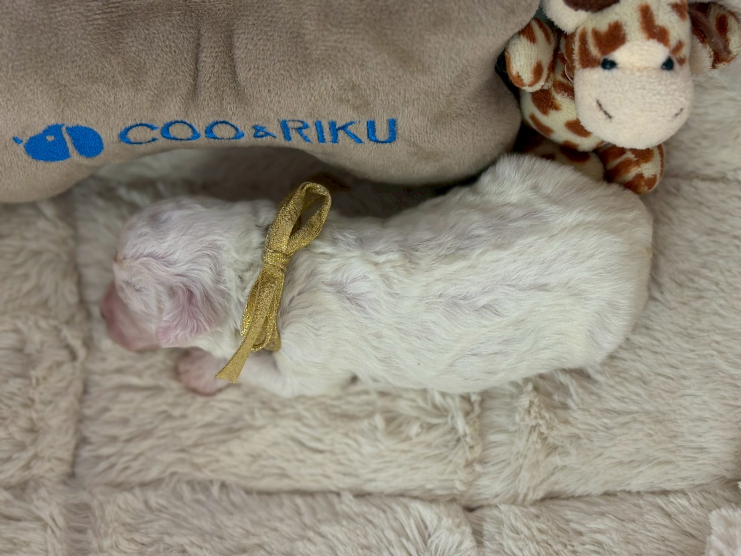 赤ちゃん写真1-3