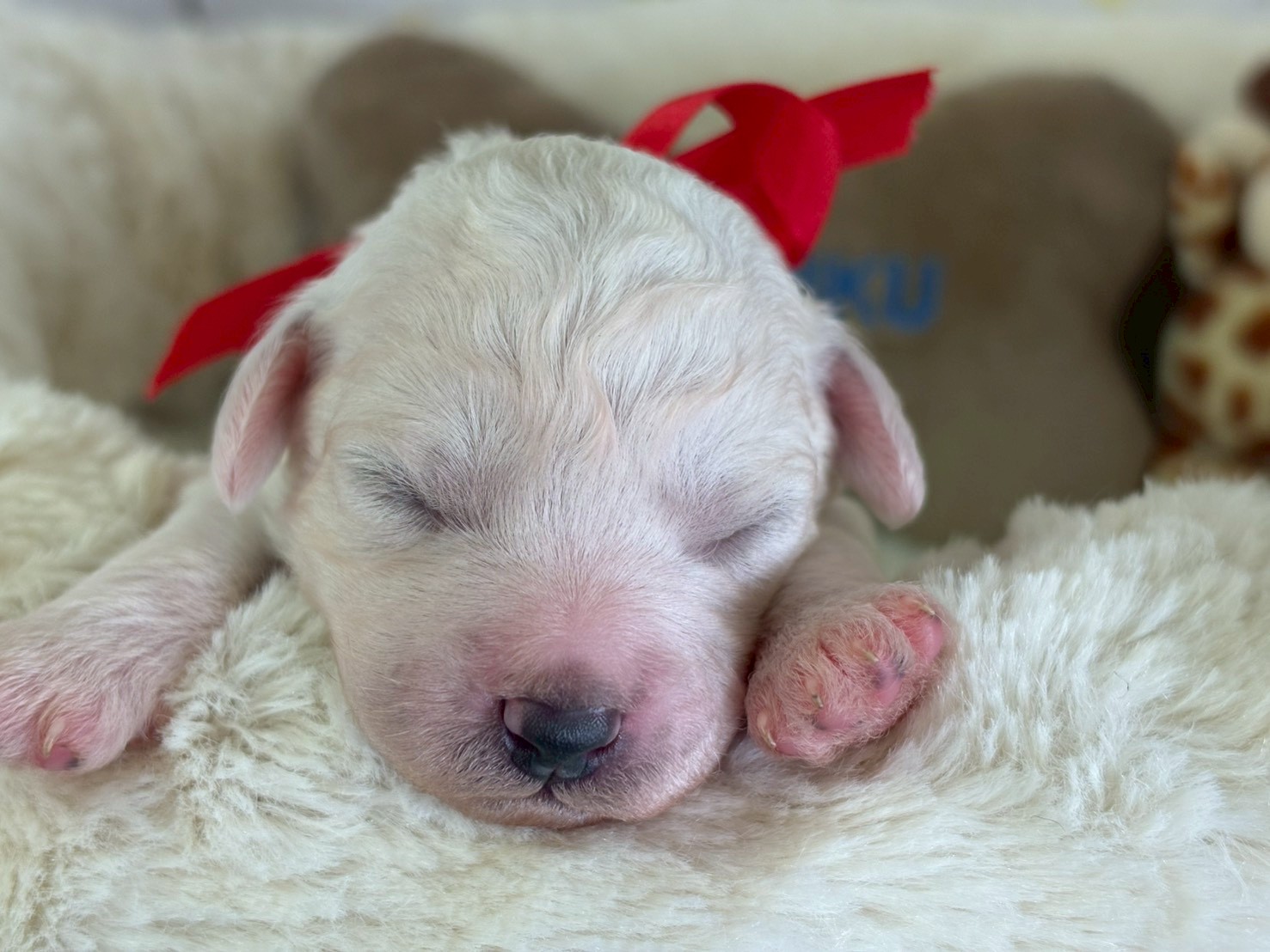 赤ちゃん写真1-1