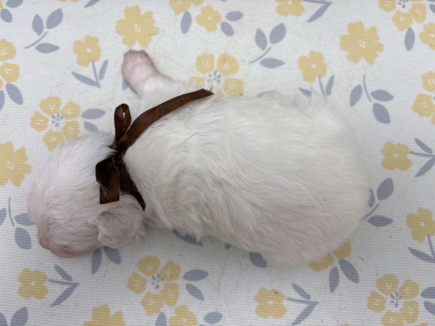 赤ちゃん写真2-3