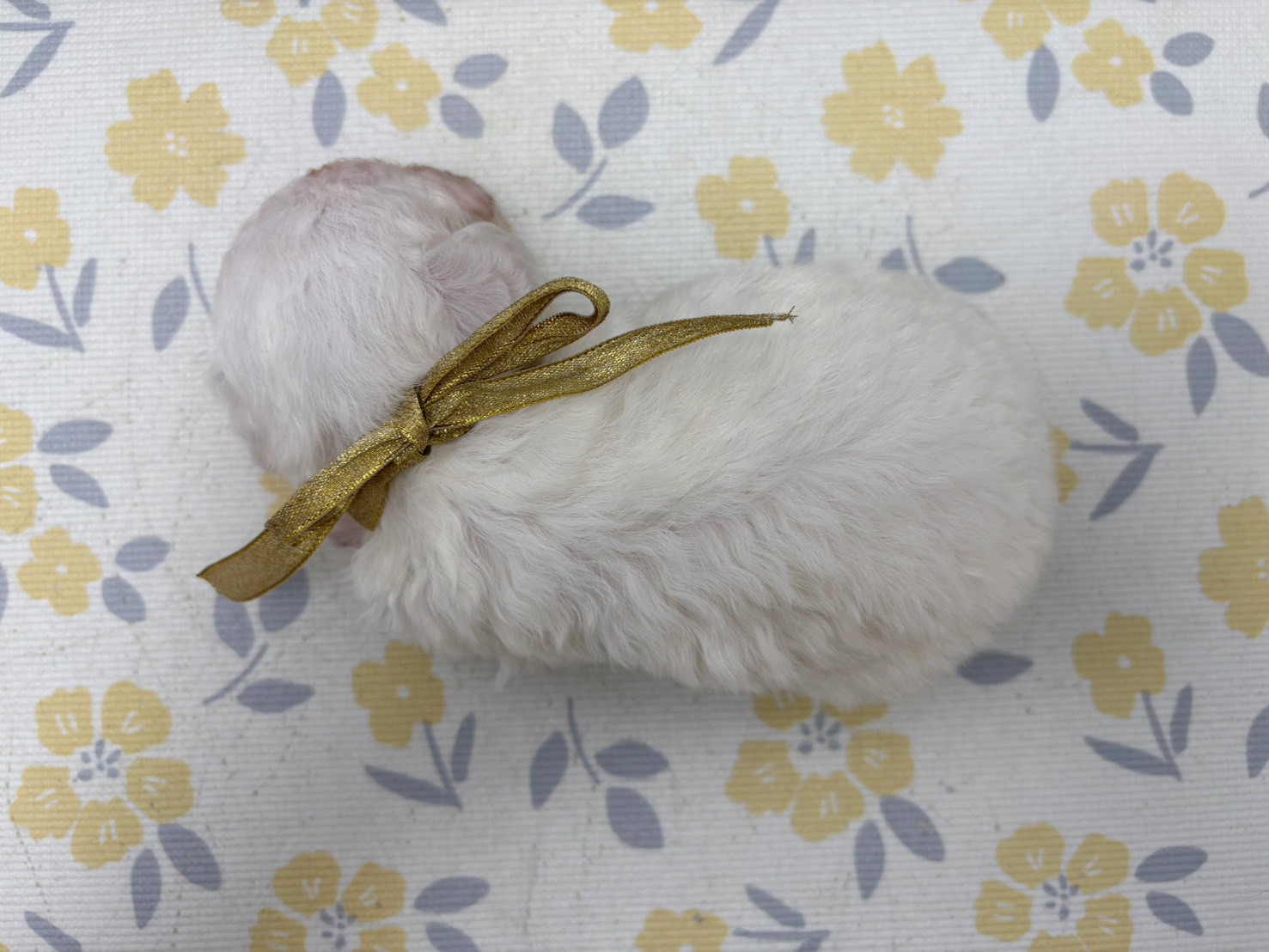 赤ちゃん写真2-2