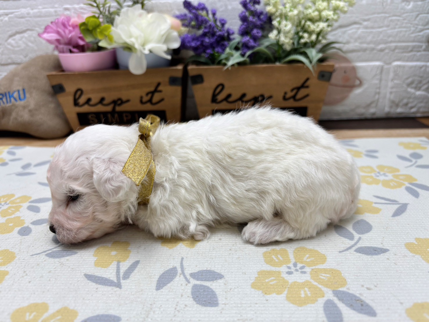 赤ちゃん写真2-3