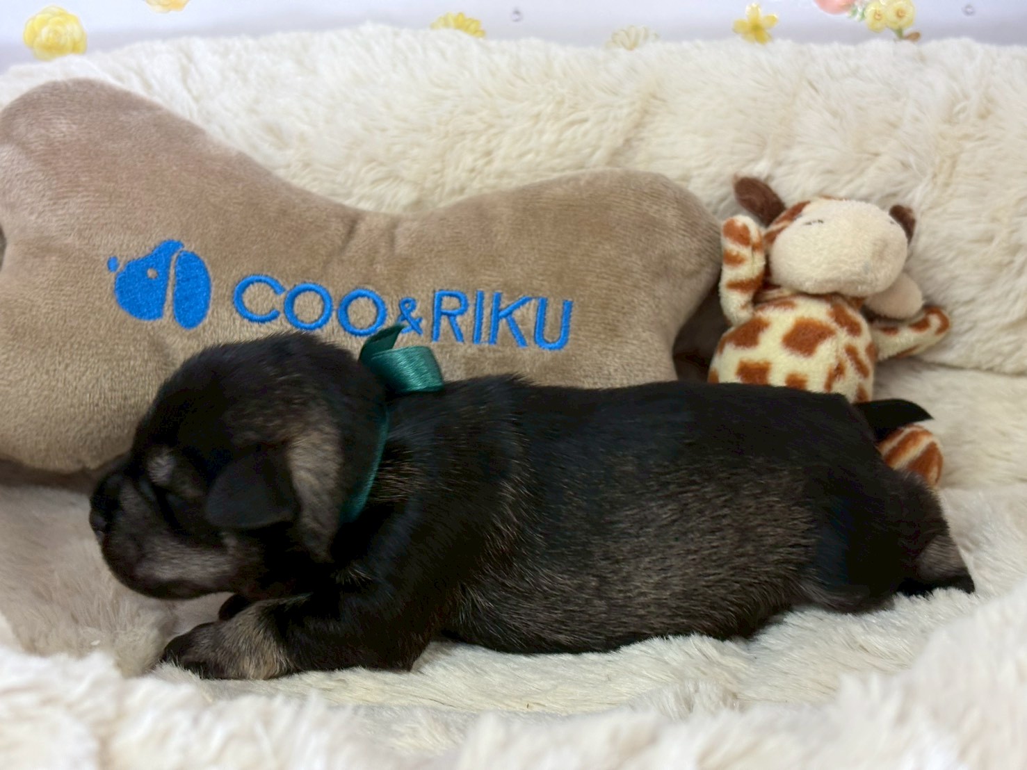 赤ちゃん写真1-2