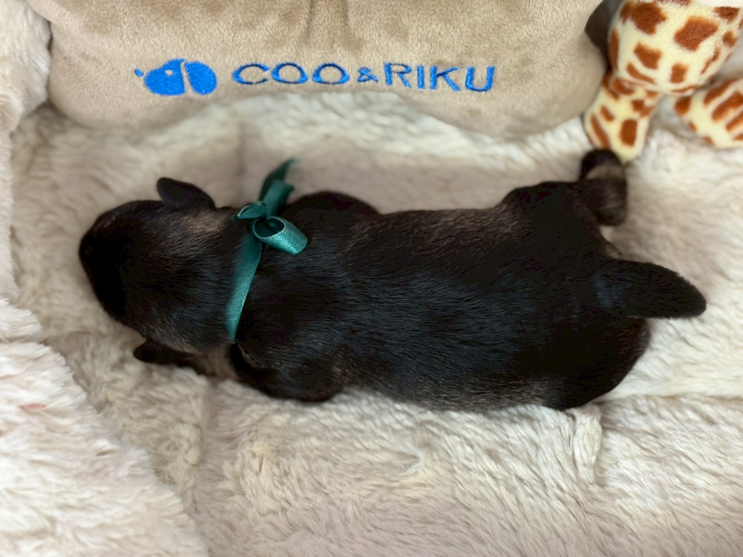 赤ちゃん写真1-3