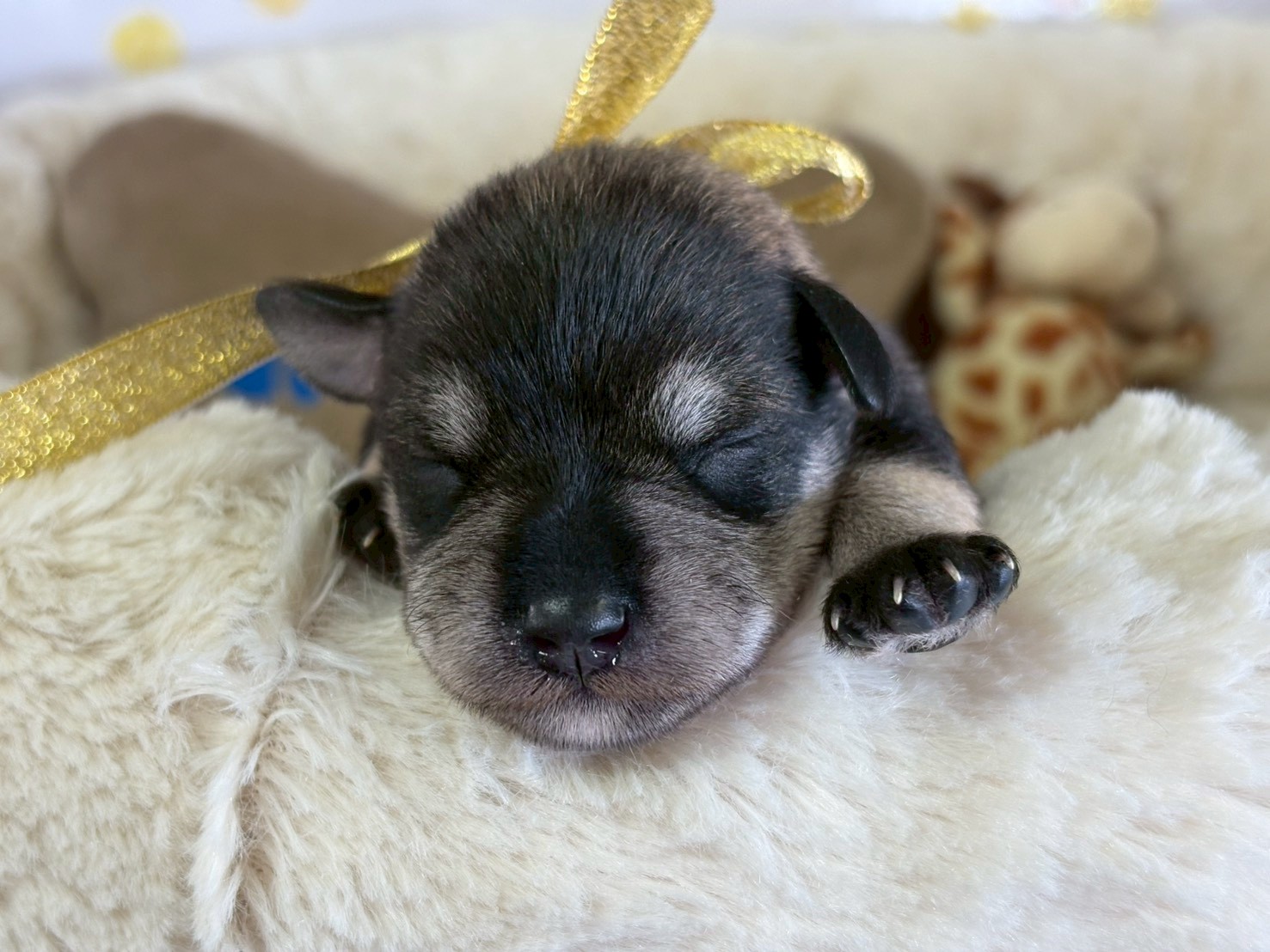 赤ちゃん写真1-1